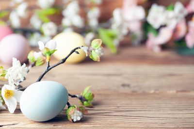 Foto: Osterei und Palmzweig